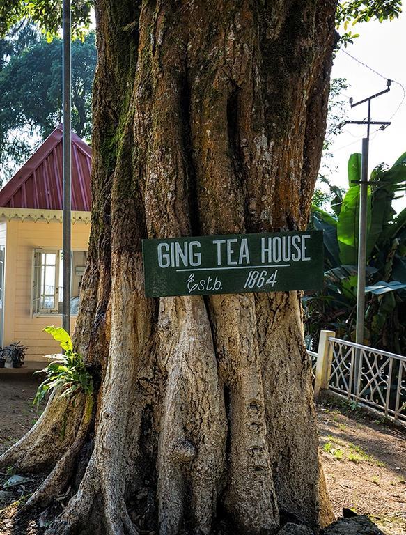 Ging Tea House Pension Darjeeling  Buitenkant foto
