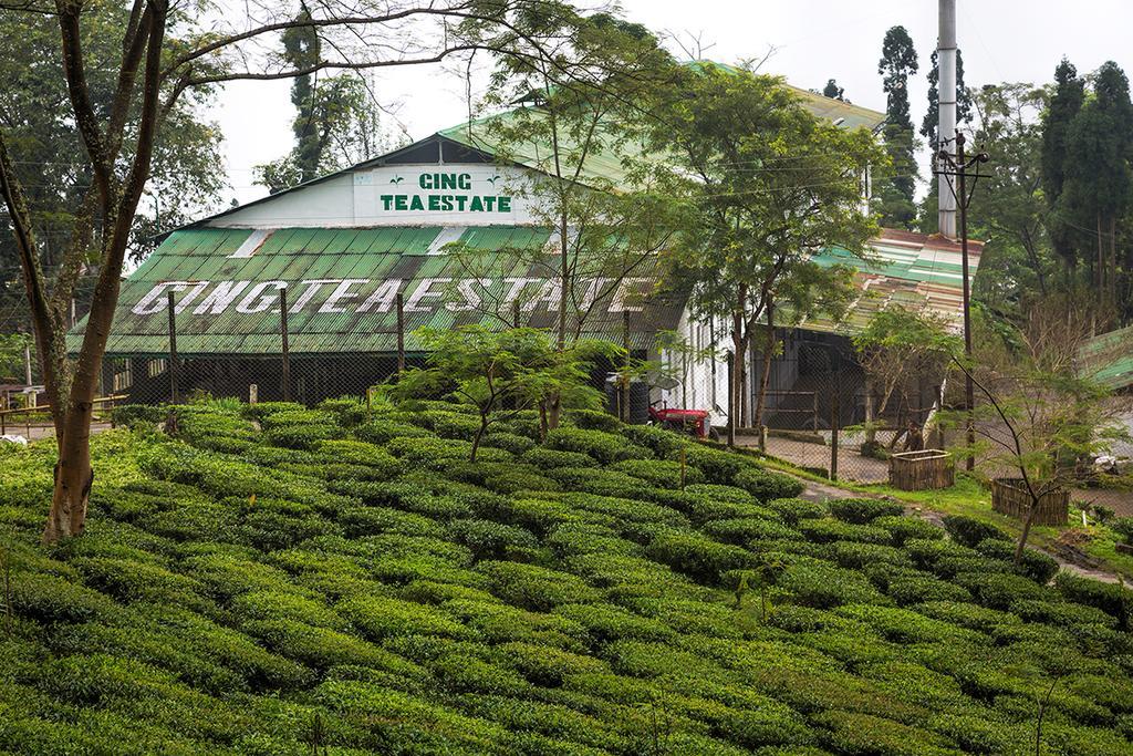 Ging Tea House Pension Darjeeling  Buitenkant foto